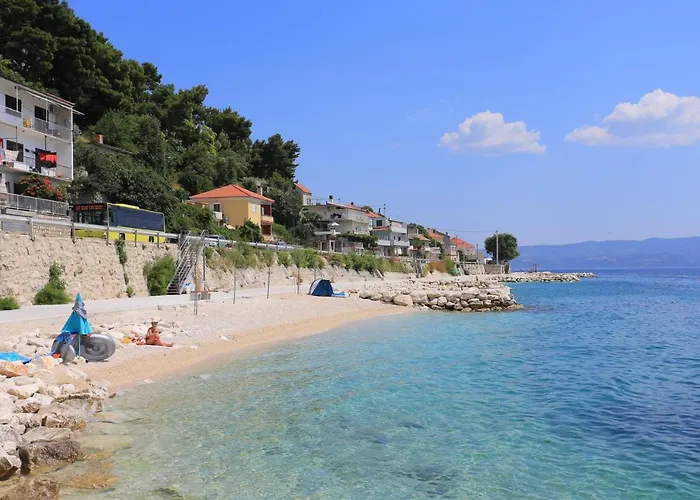 By The Sea Mali Rat דוגי ראט